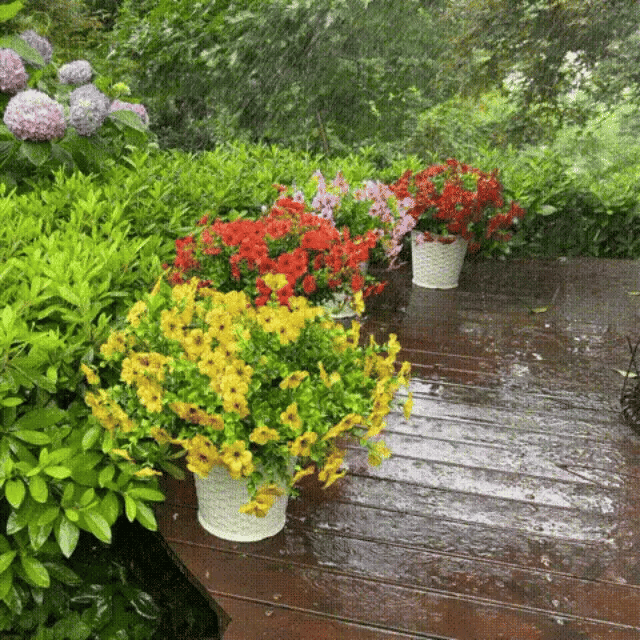 🔥Last Day 50% OFF🔥Realistic UV-Resistant Outdoor Flowers – Zero Maintenance